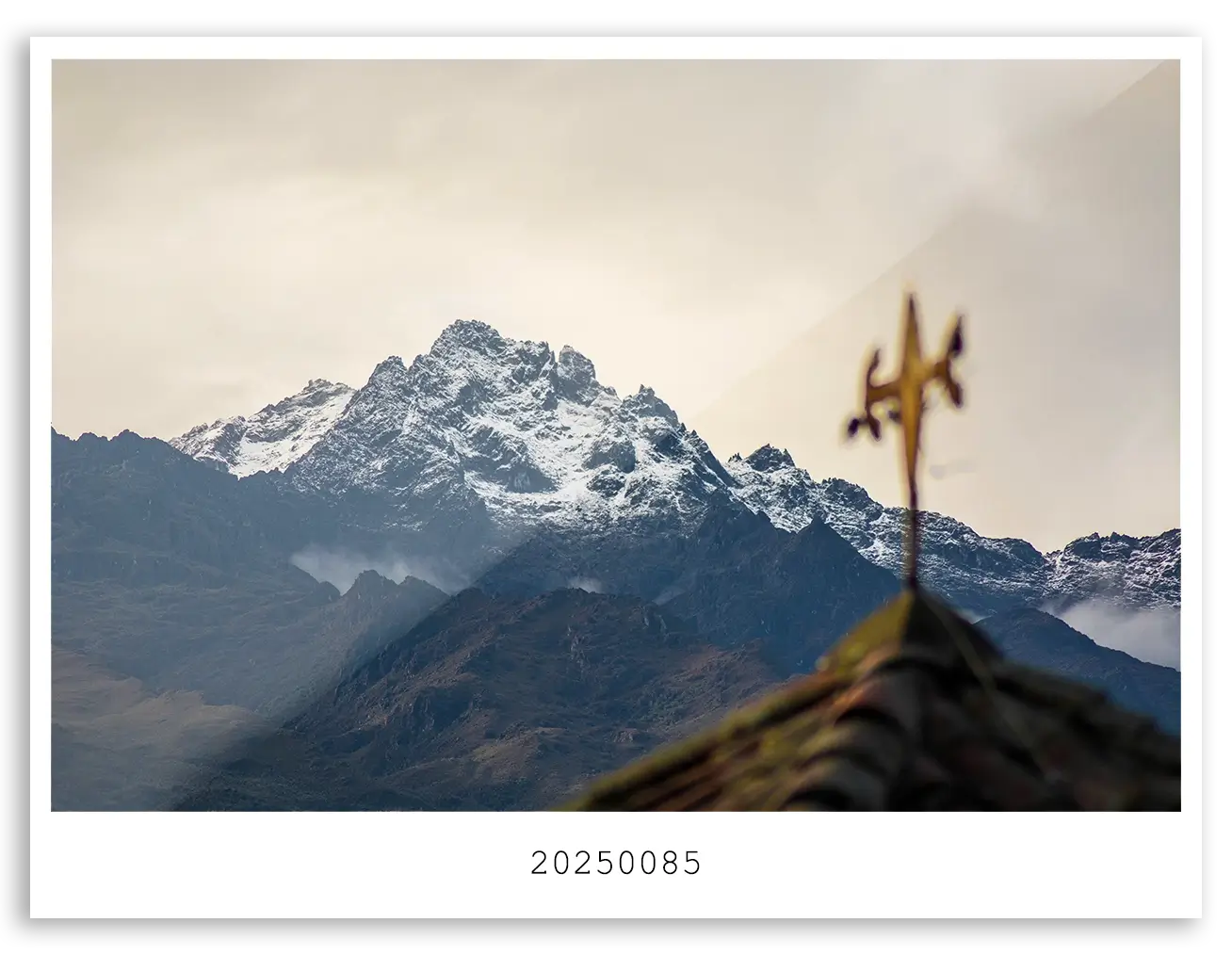 20250085 WEB (1)