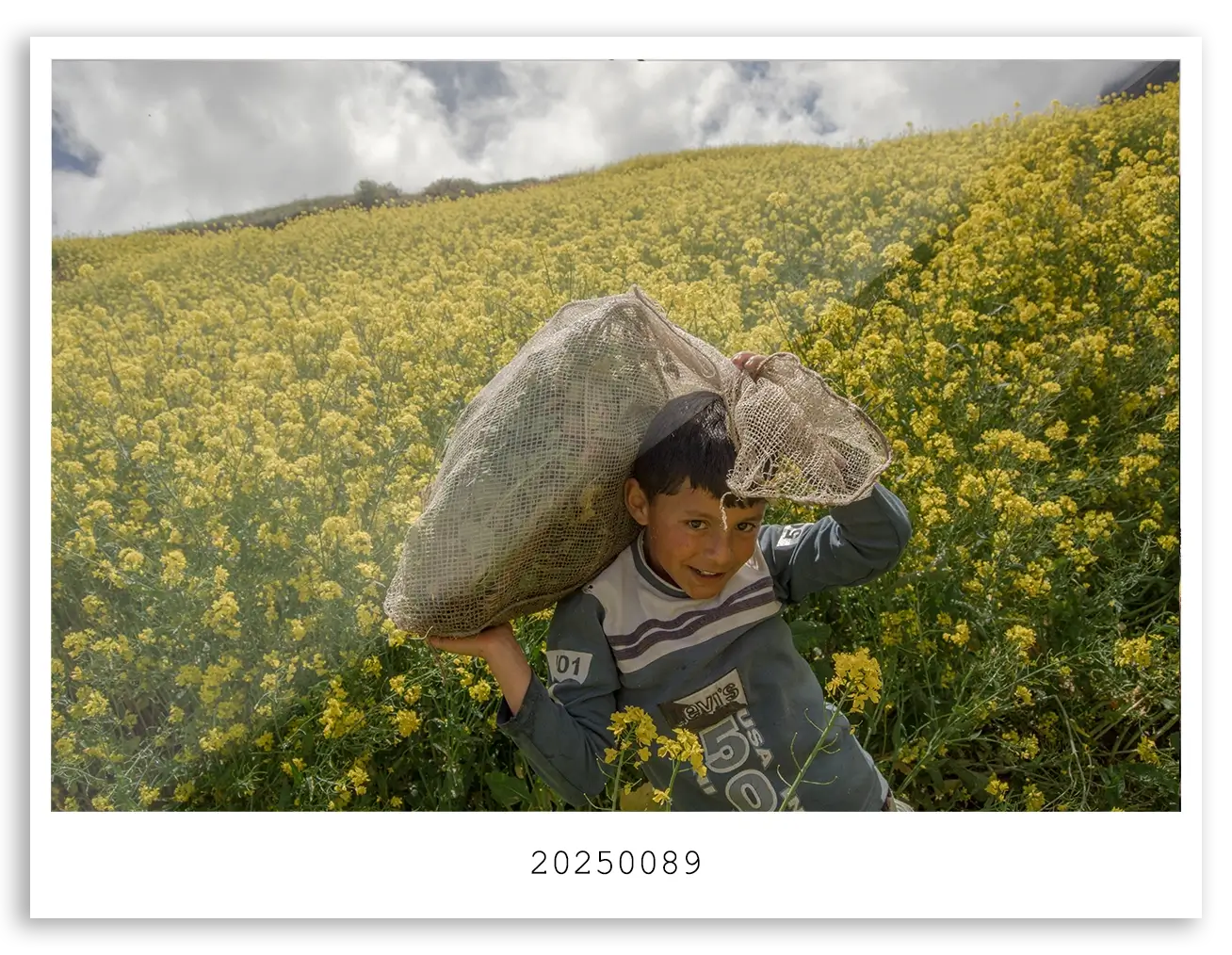 20250089 WEB (1)